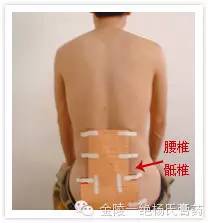 帖敷指南2.jpg